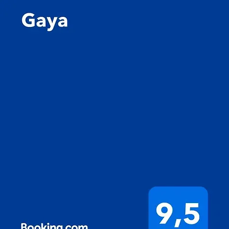 Gaya Nice